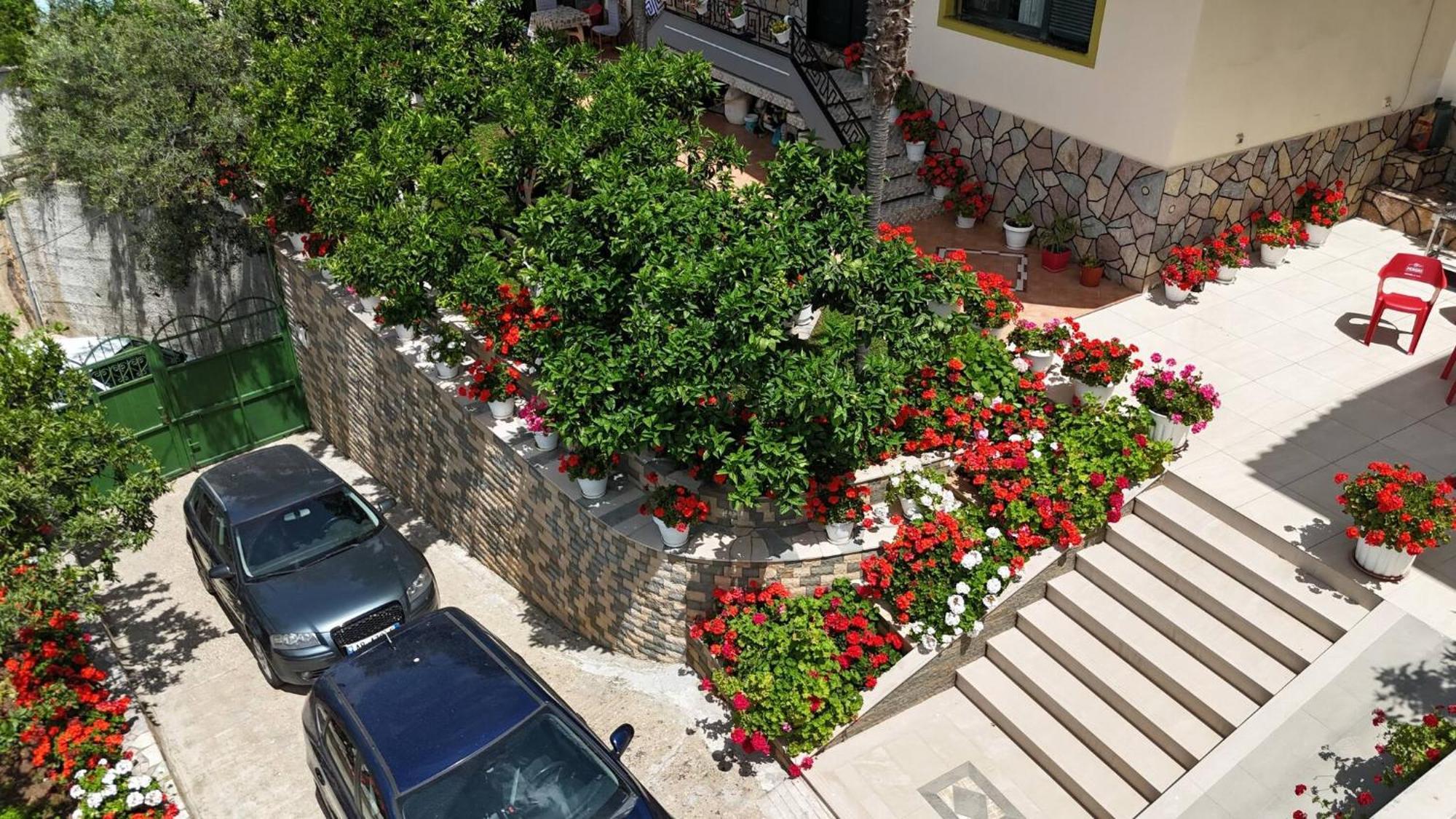 Villa Meminaj Vlorë Exteriör bild